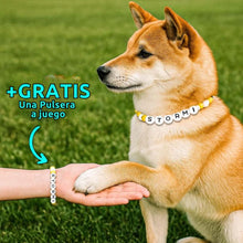 Cargar imagen en el visor de la galería, Un Shiba Inu lleva un collar de cuentas personalizado para mascotas que dice STORMI y toca la mano de una persona con una pulsera a juego. Texto: Collar de cuentas personalizado + Pulsera gratis, ideal como regalo para amantes de mascotas.