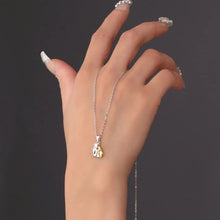 Cargar imagen en el visor de la galería, Collar "mi mejor amigo" - Moroveta