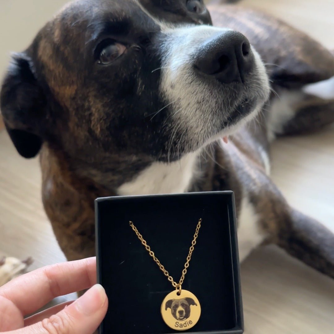 Collar personalizado con foto de mascota - Moroveta