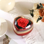 Caja de corazón con rosa eterna y collar - Set de regalo - Moroveta