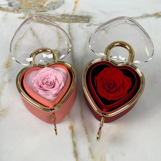 Candado eterno y collar personalizado - Moroveta