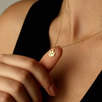 Collar con huella de mascota personalizable - Moroveta