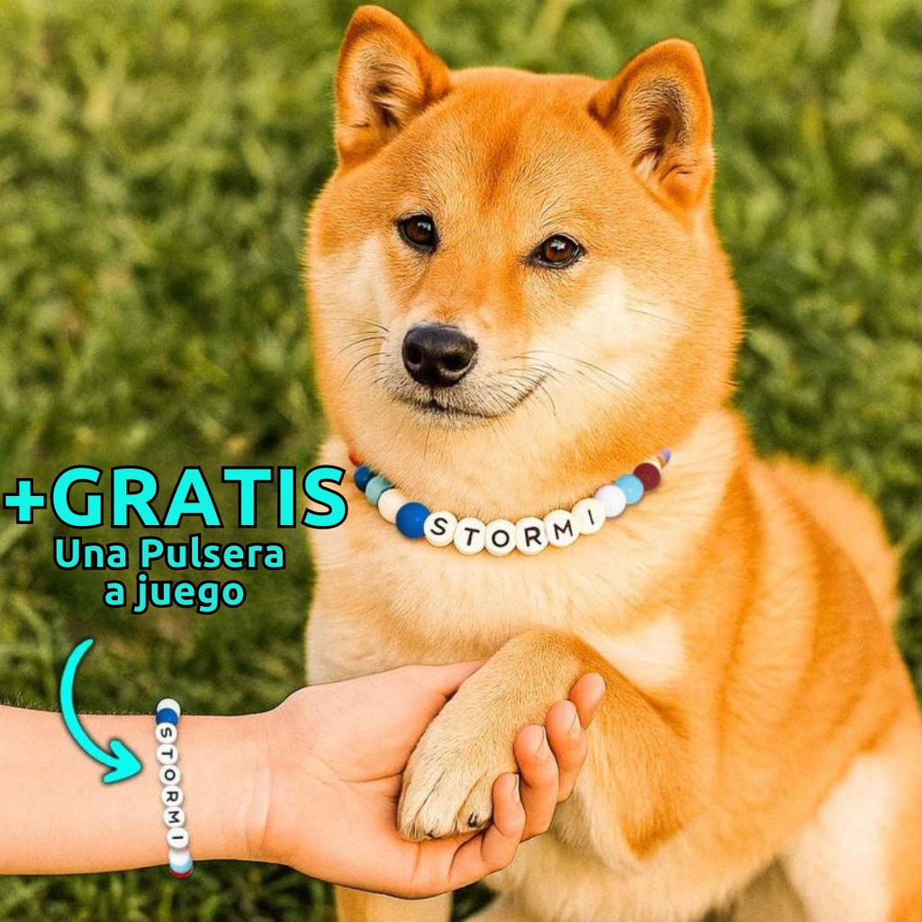 Un Shiba Inu con un Collar de cuentas personalizado para mascotas que dice STORM da la pata a una persona con pulsera a juego. El texto en español destaca: ¡Pulsera gratis! Ideal como regalo para amantes de mascotas.