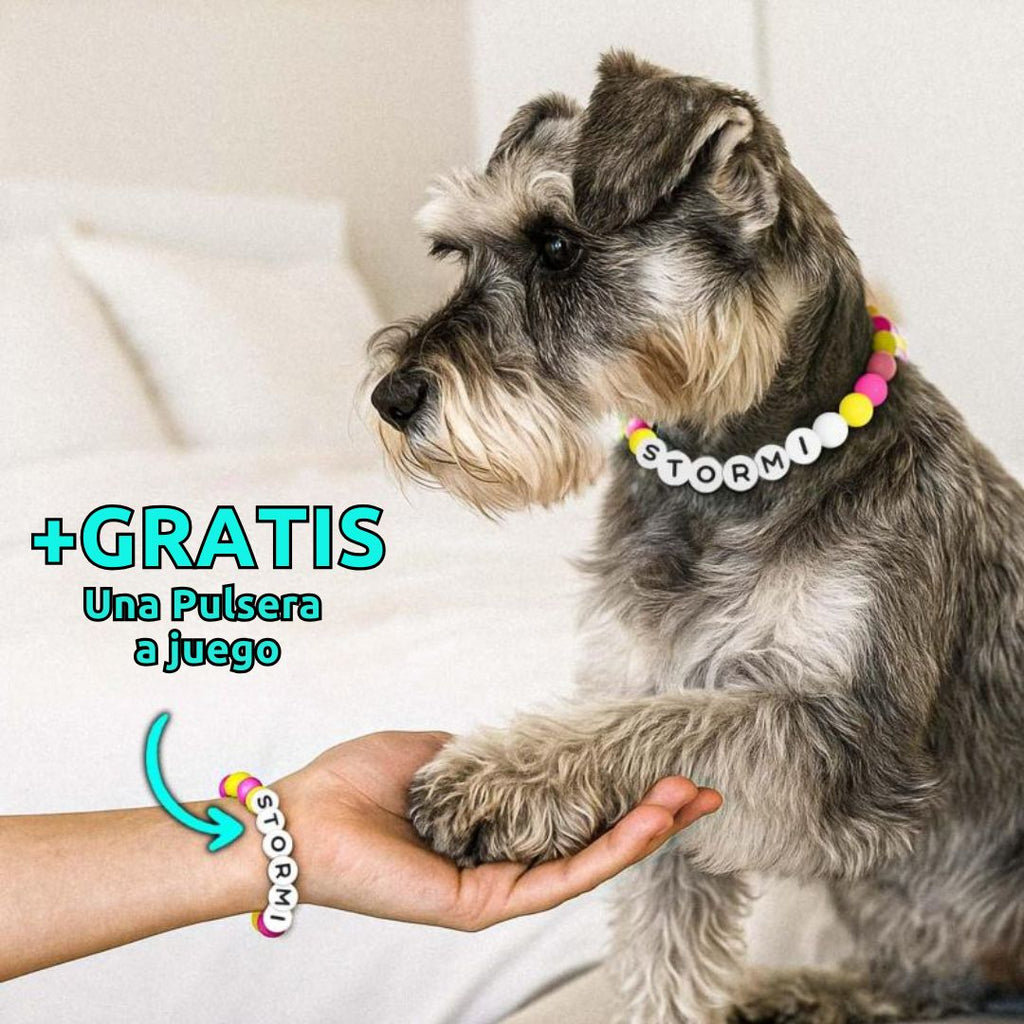 Un Schnauzer luce un collar de cuentas personalizado para mascotas con STORMI. Una mano sostiene su pata, mostrando la pulsera a juego. Texto: +GRATIS Pulsera a Juego, el regalo perfecto para amantes de mascotas.