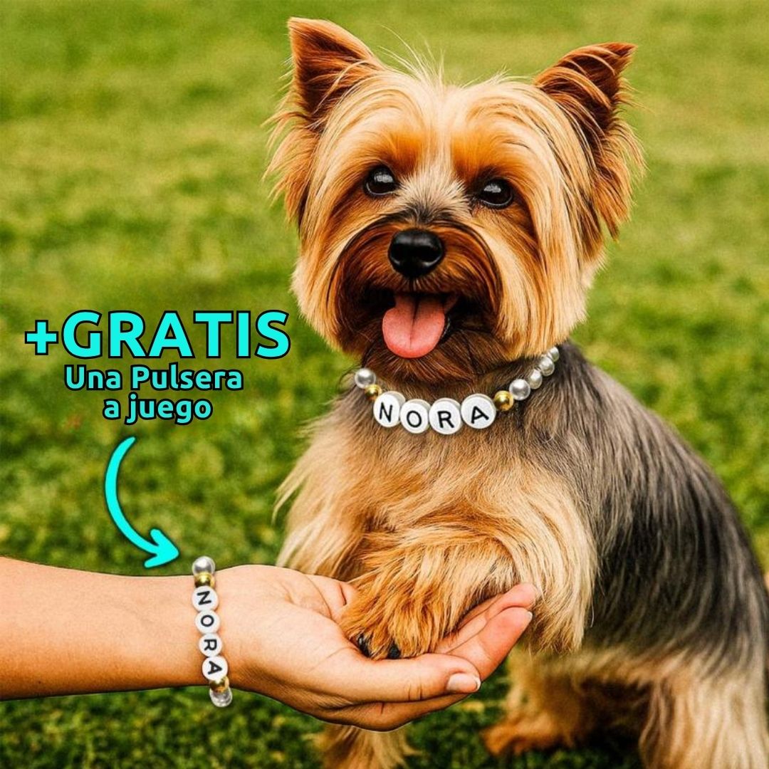 Una perrita que lleva un collar de cuentas personalizado para mascotas con el nombre Nora se sienta en la hierba, con la pata en la mano de una persona. La persona lleva la pulsera a juego gratis con "Nora". Text in English: Free play pulsera included.