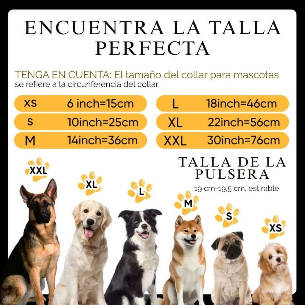 Descubre cómo elegir la talla perfecta para tu Collar de cuentas personalizado para mascotas + Pulsera gratis, con ilustraciones de razas de perros, opciones de collar (XS-XXL), guía de tallas de cuello (pulg./cm) y talla de pulsera a juego: el regalo ideal para amantes de mascotas.