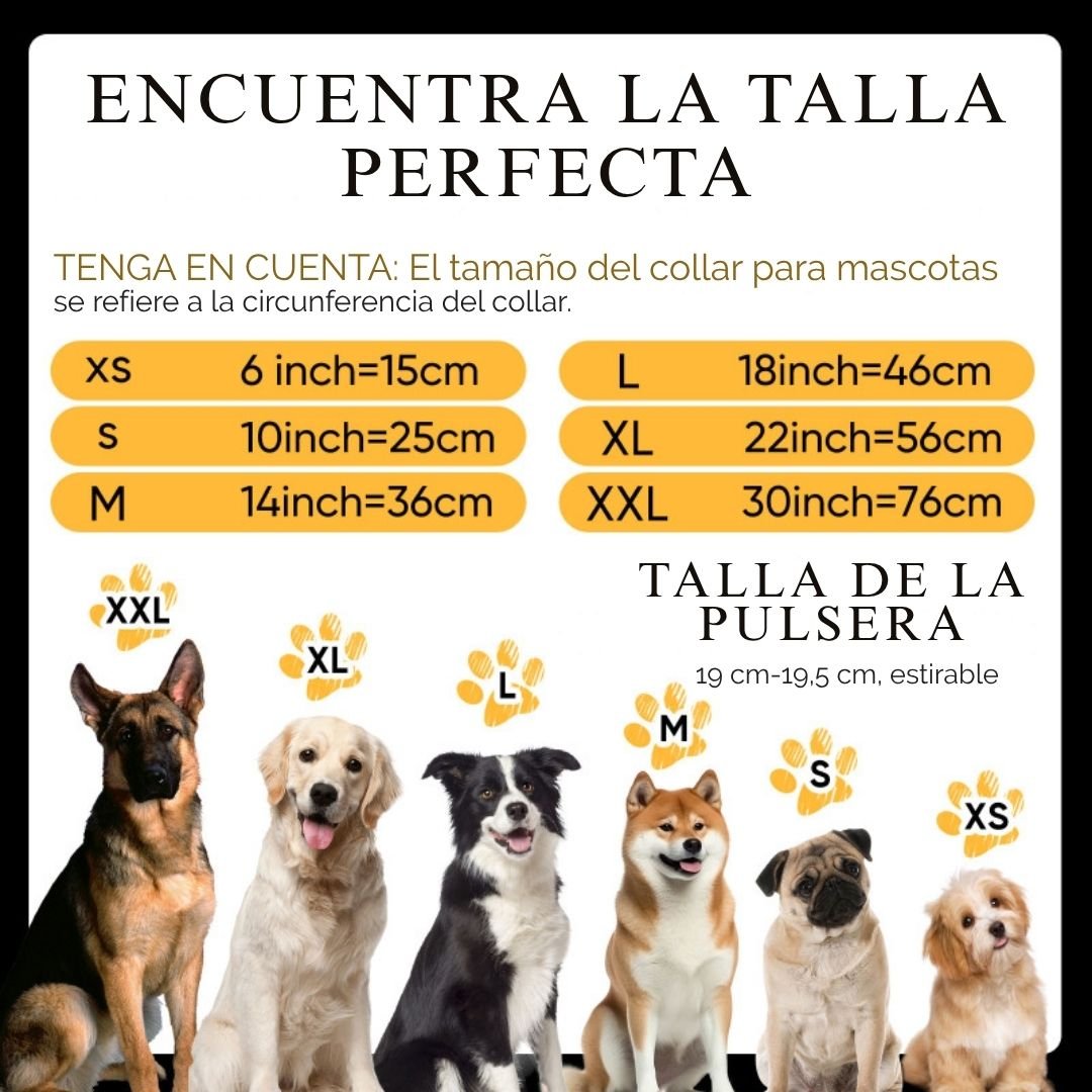 Descubre cómo elegir la talla perfecta para tu Collar de cuentas personalizado para mascotas + Pulsera gratis, con ilustraciones de razas de perros, opciones de collar (XS-XXL), guía de tallas de cuello (pulg./cm) y talla de pulsera a juego: el regalo ideal para amantes de mascotas.