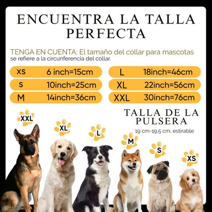 Collar de Cuentas Personalizado para Mascotas + Pulsera Gratis - Moroveta