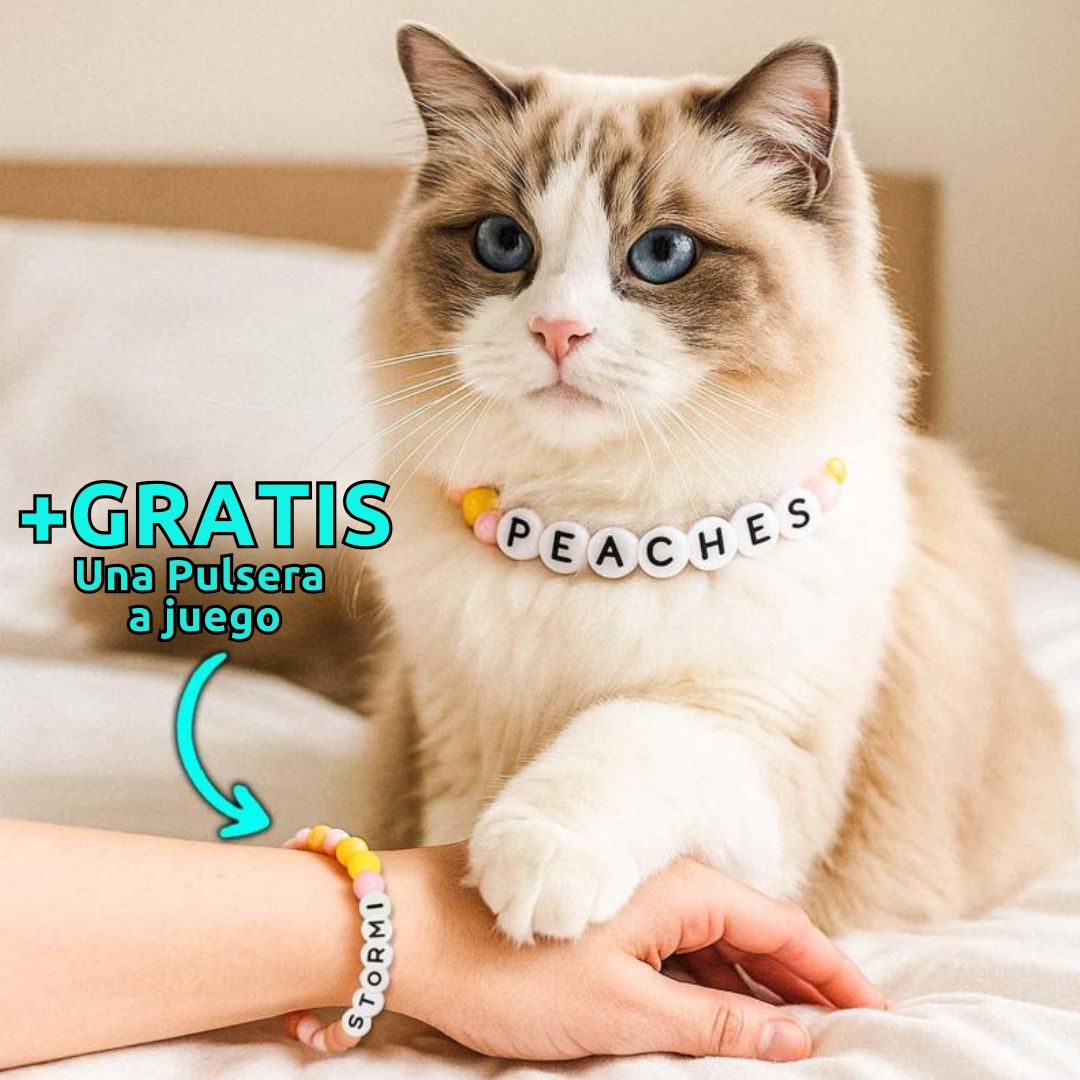 Un gato esponjoso con ojos azules lleva un collar de cuentas personalizado para mascotas que dice PEACHES. A su lado, una mano luce la pulsera a juego con STORMI. Consigue el Collar de cuentas personalizado para mascotas + Pulsera gratis, ¡regalo ideal!.