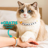 Un gato esponjoso con ojos azules lleva un collar de cuentas personalizado para mascotas que dice PEACHES. A su lado, una mano luce la pulsera a juego con STORMI. Consigue el Collar de cuentas personalizado para mascotas + Pulsera gratis, ¡regalo ideal!.