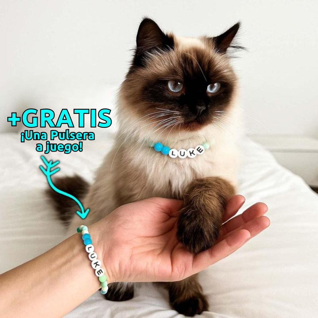 Un gato esponjoso marrón y crema, con ojos azules, lleva un Collar de cuentas personalizado para mascotas con el nombre LUKE. Una persona usa la pulsera gratis a juego y sostiene la pata del gato. Texto en español anuncia la pulsera sin costo.