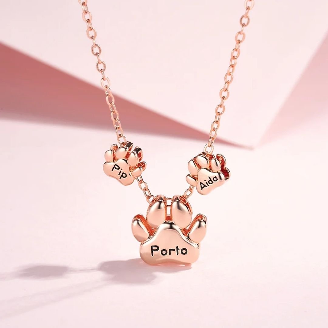 El Collar de huellitas de mascotas personalizado en dorado luce tres dijes con forma de pata: el más grande dice "Porto" y los dos pequeños, "Pip" y "Aido", exhibidos sobre un fondo rosa claro.
