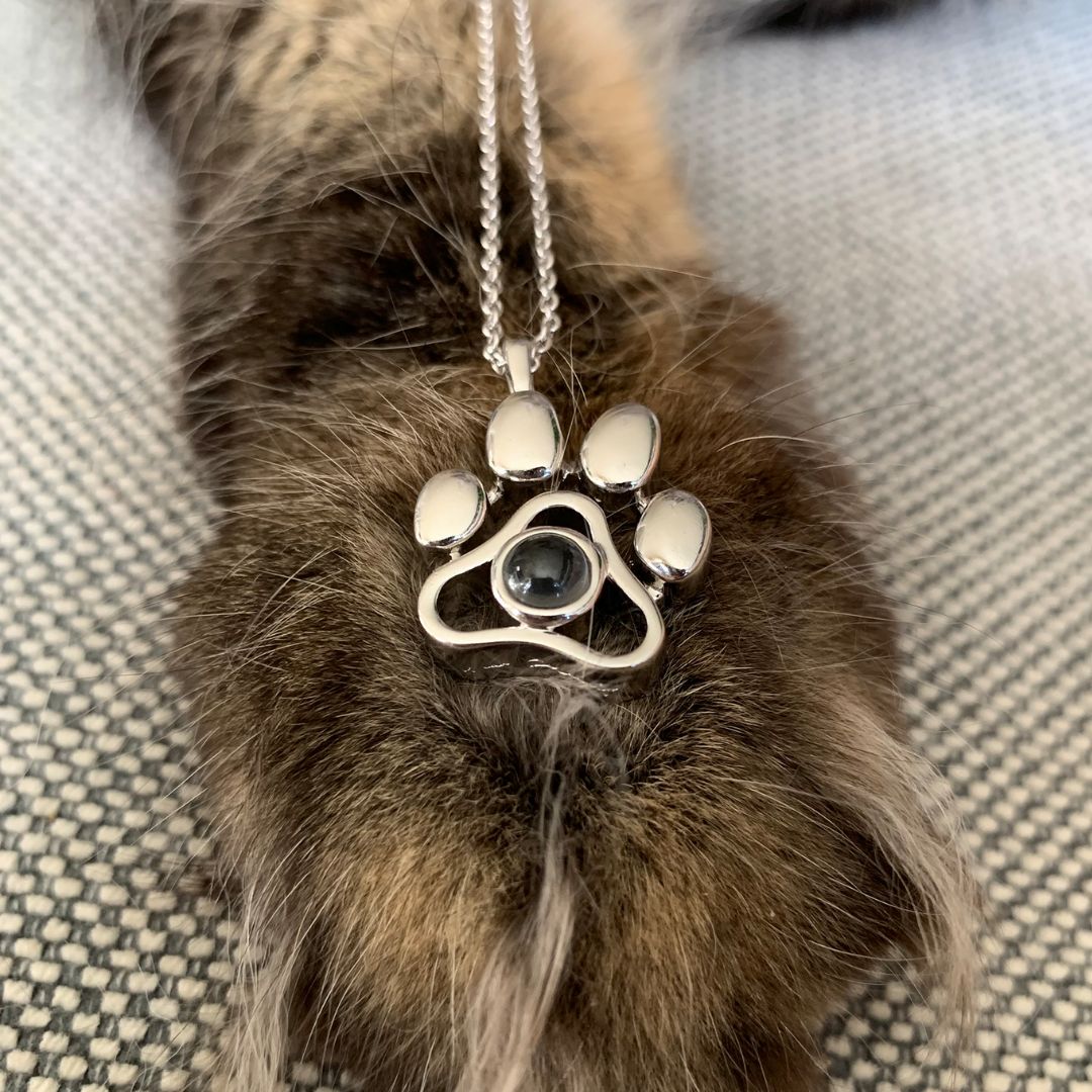 Collar huellita con foto de mascota - Moroveta
