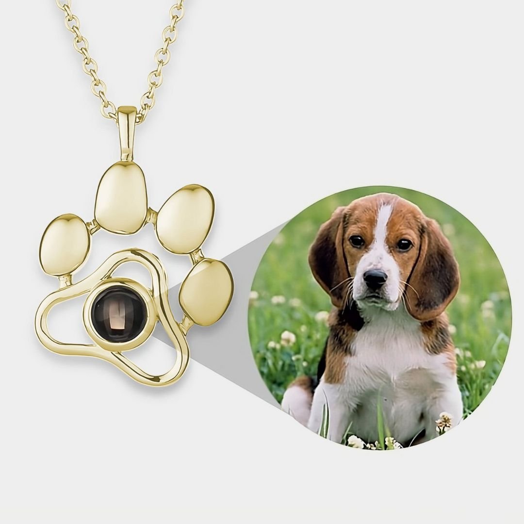 Collar huellita con foto de mascota - Moroveta