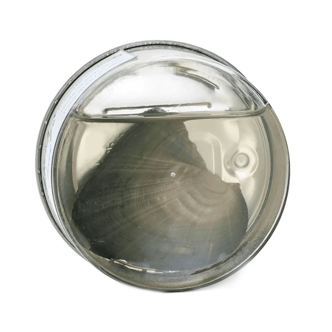 Experiencia Perlitta - Ostra real presenta una gran concha marina parecida a las ostras con perla, conservada en un recipiente transparente y redondo lleno de líquido. Vista desde arriba, se aprecian los patrones circulares de la concha y un toque de aire en la parte superior.