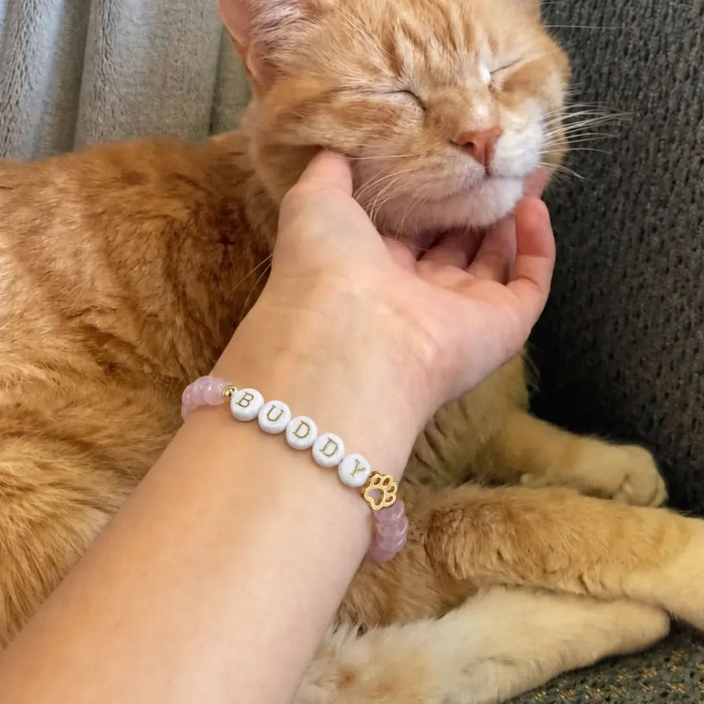 Pulsera de Cristales Personalizada con Nombre de Mascota - Moroveta
