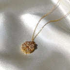 Regalo especial - Rosa eterna y collar - Moroveta