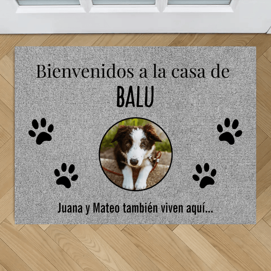 Tapete personalizado con fotos de mascotas - Moroveta