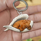 Llavero acrílico de perros - Moroveta