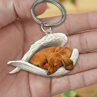 Llavero acrílico de perros - Moroveta