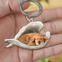 Llavero acrílico de perros - Moroveta