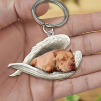 Llavero acrílico de perros - Moroveta